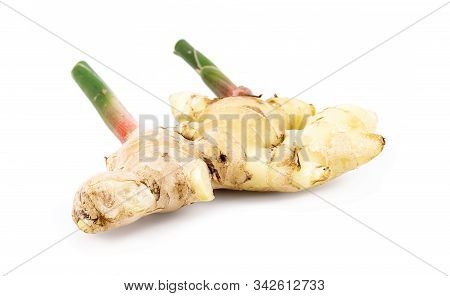 Fresh Ginger Root With Stem Isolated On White Background, This Is Asian Organic Herb Use For Health 