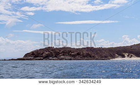 Rocky Coastal Shoreline With Brown Layered Volcanic Shale And Spindly Trees And Sparse Vegetation, I