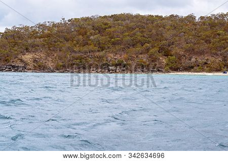 Rocky Coastal Shoreline With Brown Layered Volcanic Shale And Spindly Trees And Sparse Vegetation