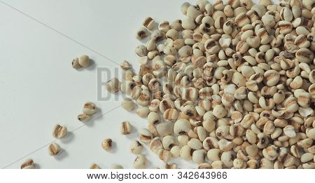 Job's Tears, Also Known As Adlay And Coix On Calico Background. Popular In Asian Cultures As A Food 