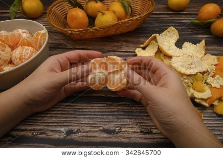 The Girls Hands Are Cleaning Tangerine, Tangerines On A Twig With Green Leaves, Peeled Tangerines In