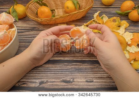 The Girls Hands Are Cleaning Tangerine, Tangerines On A Twig With Green Leaves, Peeled Tangerines In