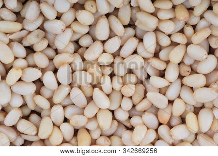 Many Cedar Nut  At Dry Sunny Summer Day