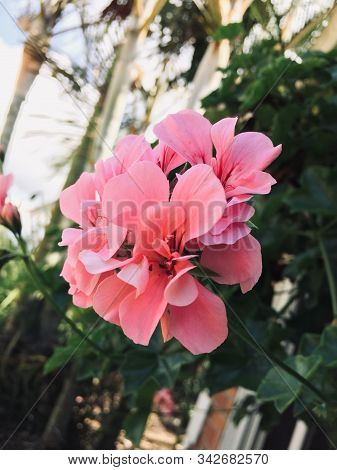 The Tranquility And Peace That This Beauty Transmits, Does Not Compare With The Insatiability Of The