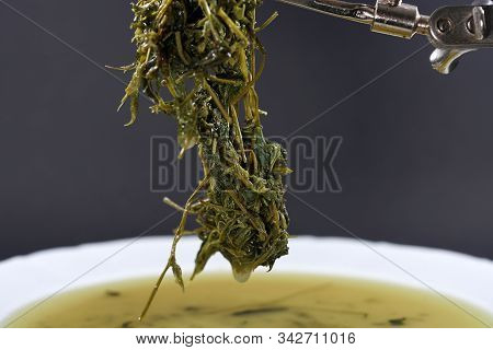 Jiaogulan Herb Is Also Often Referred To As The Herb Of Immortality.