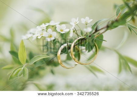 Wedding Rings Hang On A Branch Of A Bush With Numerous White Flowers In The Spring At A Wedding. Sym