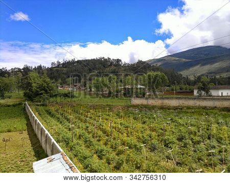 Paisaje En Cajamarca Perú, Cultivos Y Aire Fresco