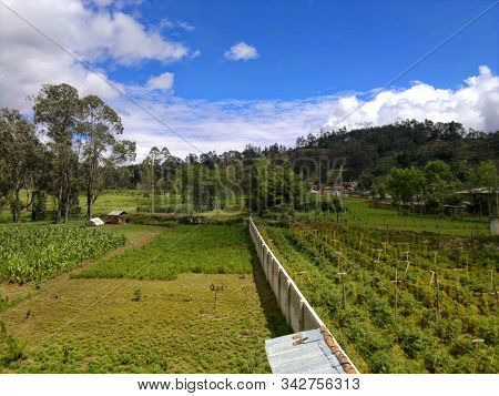 Paisaje En Cajamarca Perú, Cultivos Y Aire Fresco
