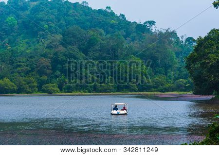 Pookode Lake Beautiful Freshwater Lake In Wayanad Boating Kayaking And Other Water  Adventure Activi