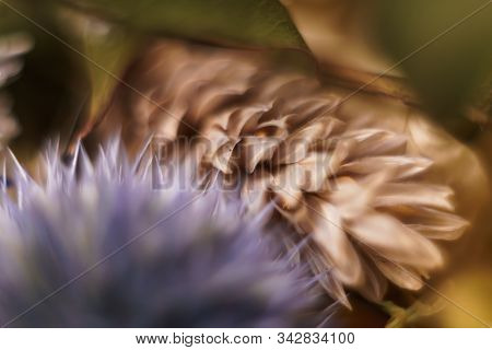 Blur Abstract Romance Background. Soft Flower Card. Pastel Gentle Colors Shoted Macro.