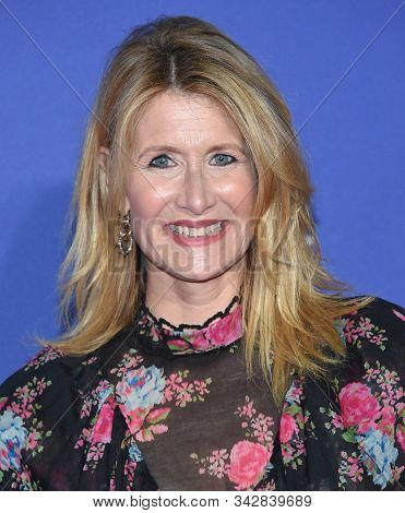 LOS ANGELES - JAN 02:  Laura Dern arrives for the PSIFF Awards Gala 2020 on January 02, 2020 in Palm Sprimgs, CA                