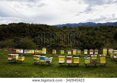 Small Apiary With Colorful Hives In Serbian Orthodox Monastery (cloister) Moracha Farm In Mountains 
