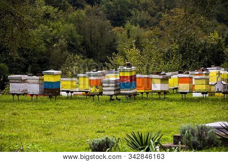 Small Apiary With Colorful Hives In Serbian Orthodox Monastery (cloister) Moracha Farm In Mountains 