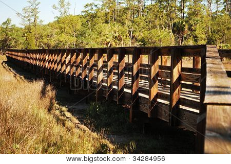 Wooden bridge at park in Georgia