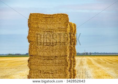 Neat Stack Of Rectangular Bales Of Hay, Dry And Golden, In A Meadow. Natural Daylight And Blue Sky I