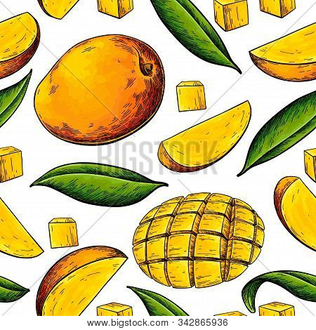 Mango Seamless Pattern. Vector Drawing. Hand Drawn Tropical Fruit