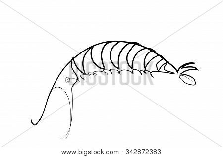 One Continuous Line Drawing Of Fresh Shrimp.
Simple Line Art Drawing Of Shrip.
