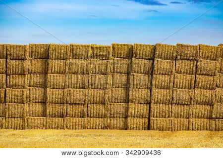 Wall Made Of Neatly Stacked Rectangular Bales Of Golden Hay. Blue Sky In The Background, Natural Sun