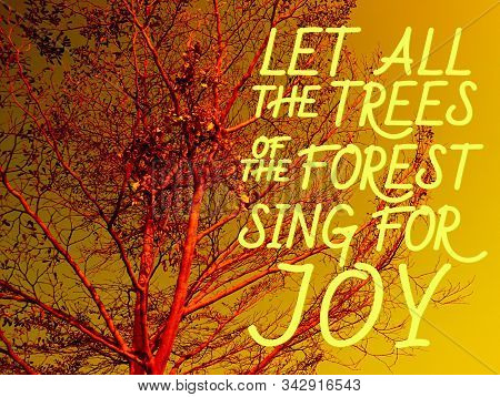 Let All The Trees Of The Forest Sing For Joy - Bible Verses About Autumn