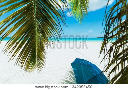Beautiful, Gorgeous Relaxing Pretty Inviting View On White Sand Tropical Beach With Fluffy Green Coc