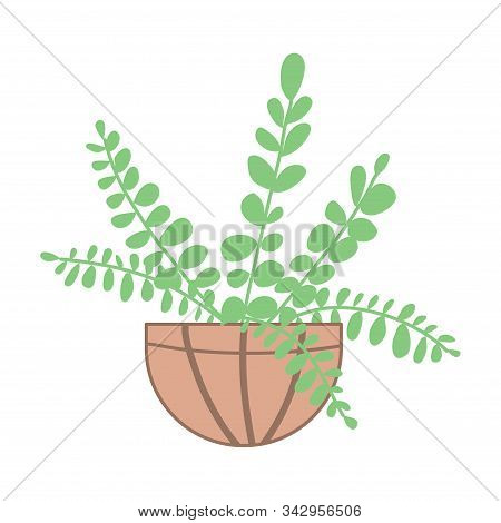 Lovely Drawing Of A Home Flower In A Pot. Growing Indoor Plants. Illustration In Doodle Style.