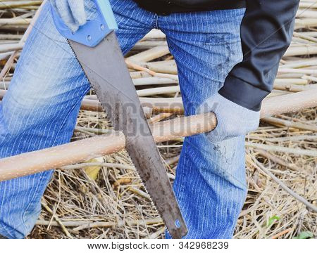 Sawing With A Hand Saw Of A Wood Branch. Man Saws Sawing A Tree Branch. Wood Sawing With A Hand Saw.