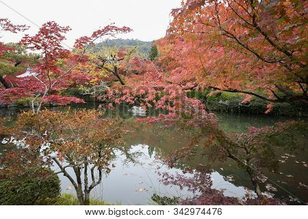 Colorful Fall Color Leaves In Eikando Zenrinji Gardens In Kyoto, Japan. Eikando Is One Of The Best P