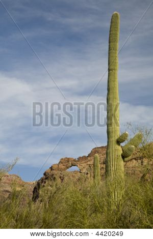 อนุสรณ์สถานแห่งชาติท่อออร์แกน