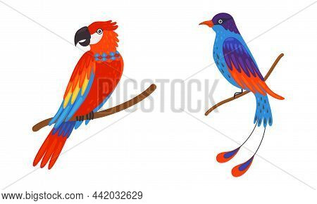 Tropical Bird With Bright Feathers Sitting On Tree Branch Vector Set