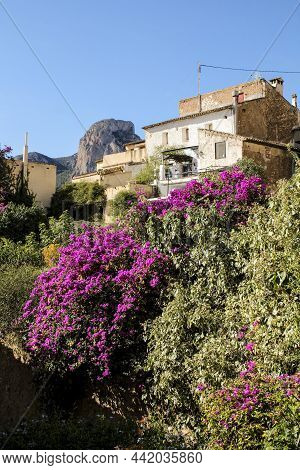 Houses Surrounded By Greenery On The Hillside Of Polop Castle. Mount Ponoig In The Background.
