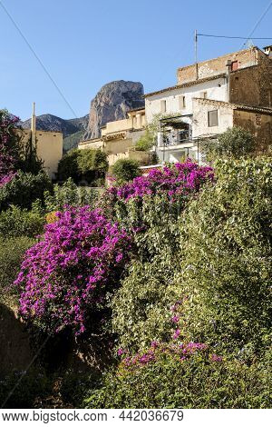Houses Surrounded By Greenery On The Hillside Of Polop Castle. Mount Ponoig In The Background.