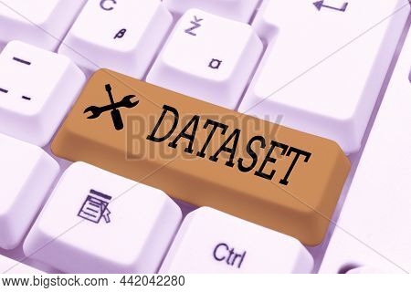Text Caption Presenting Dataset. Business Idea Collection Of Numbers Or Values That Relate To A Part