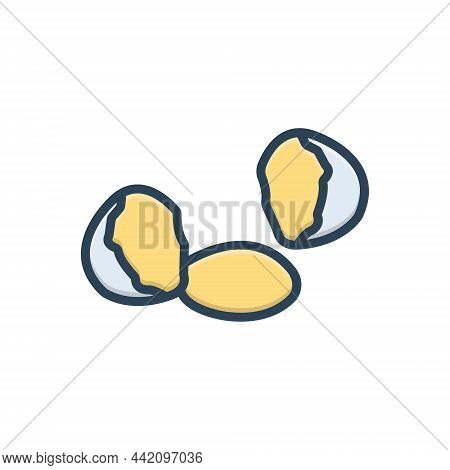 Color Illustration Icon For Raw Uncooked Unprepared Unripe Egg Broken Unfried