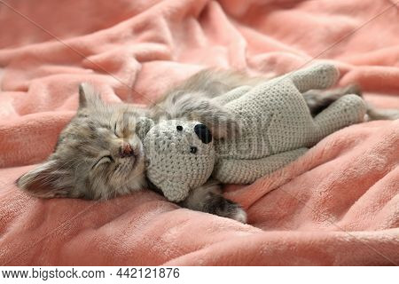 Cute Kitten Sleeping With Toy On Soft Pink Blanket