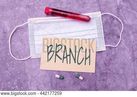 Conceptual Display Branch. Business Overview A Part Of A Tree Which Grows Out From The Trunk Or From