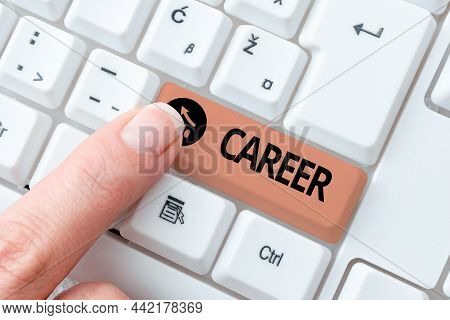 Writing Displaying Text Career. Business Overview Undertaken For Period Persons Life With Opportunit