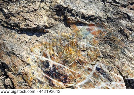 Texture Of A Chert Sedimentary Rock As A Background