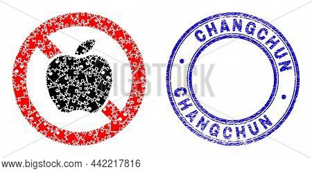 Puzzle Stop Apple Mosaic Icon With Changchun Seal Stamp. Blue Vector Rounded Distress Seal Stamp Wit