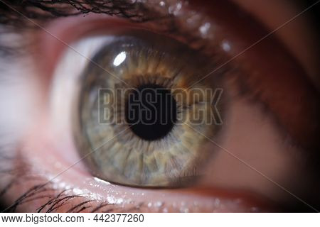 Female Gray Green Pupil With Eyelashes. Laser Vision Correction Concept