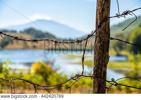 View Of Biviere Lake With Etna Volcano, Nebrodi National Park, Sicily, Italy