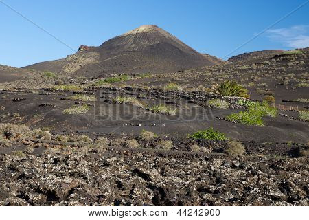 Timanfaya 국립 공원, 란 사로 테