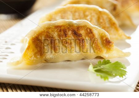 Hjemmelavet asiatiske Vegeterian Potstickers