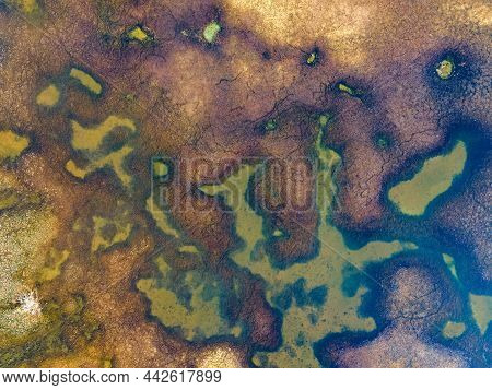 Close Up Of Drying Pond In The End Of Summer