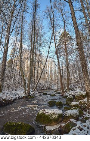 First Snow On The Forest Rapids Of Finnish Nukarinkoski: Sunny October Day.