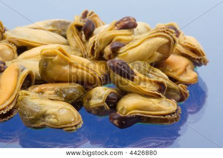 Mossel
