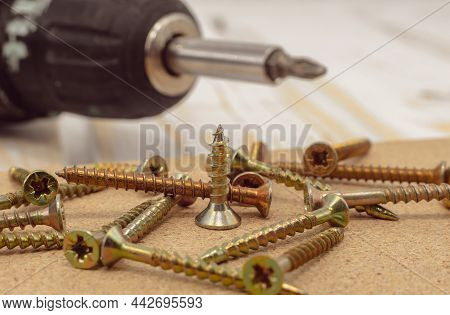 Screws. A Screwdriver Drives A Screw Into A Board, Furniture Close-up
