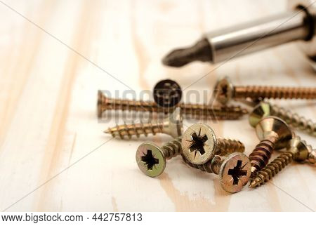 Screws. A Screwdriver Drives A Screw Into A Board, Furniture Close-up