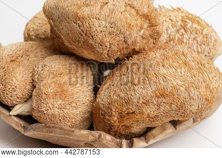 Dried Lions Mane Mushrooms Or Hericium Erinaceus Also Called Bearded Tooth Fungus.