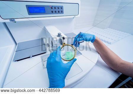 Laboratory Assistant Works At Paraffin Wax Dispenser Tissue Embedding Machine.