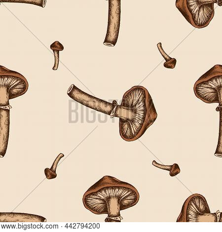 Seamless Pattern With Hand Drawn Colored Honey Agaric Stock Illustration